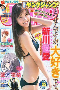 石之海13集到24集